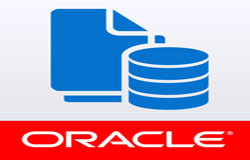 Oracle数据库管理工具有哪些?-北京米兰官方网页版公司