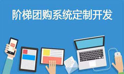 拼购电商系统APP软件定制开发、什么是拼购系统？-北京米兰官方网页版