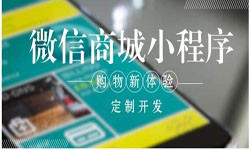 商城小程序开发、北京小程序开发哪家好？-北京米兰官方网页版