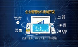 Erp米兰官方网页版的发展现状-北京米兰官方网页版公司米兰官方网页版