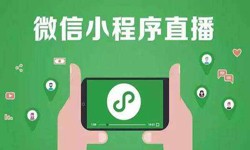微信小程序开发、直播小程序开发-米兰官方网页版米兰官方网页版公司 