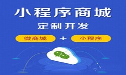微信小程序开发、商城小程序开发功能-米兰官方网页版米兰官方网页版