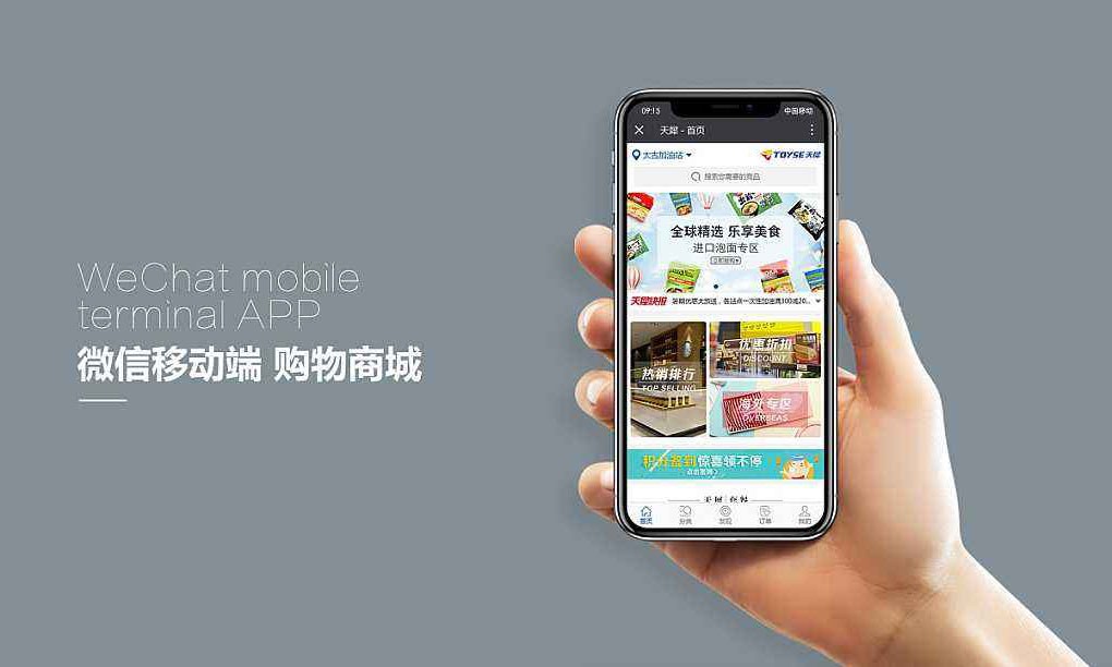 网上商城米兰官方网页版解决方案-北京米兰官方网页版公司